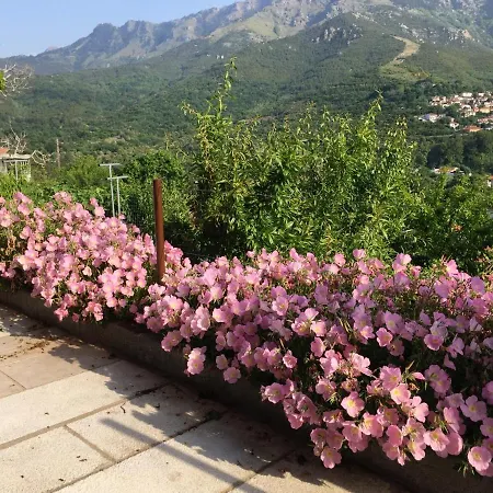 Alex's Studio In Peaceful Location In Thasos Apartment Agios Georgios (Thasos)